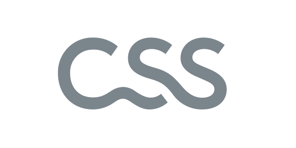 CSS Logo